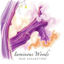 Artisan perfume oil sample set with citrus, woods, and oud